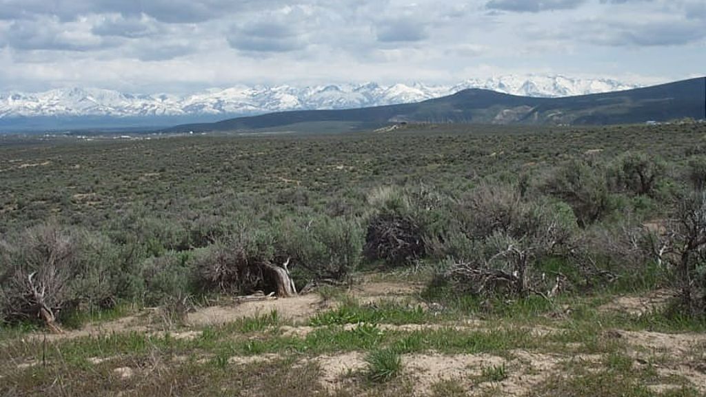 Ryndon, Elko County, NV Undeveloped Land, Homesites for sale Property