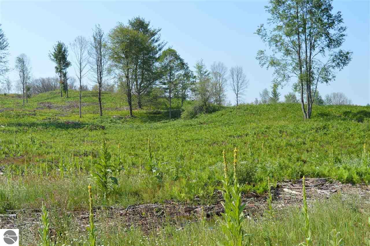 Reed City, Osceola County, MI Undeveloped Land for sale Property ID