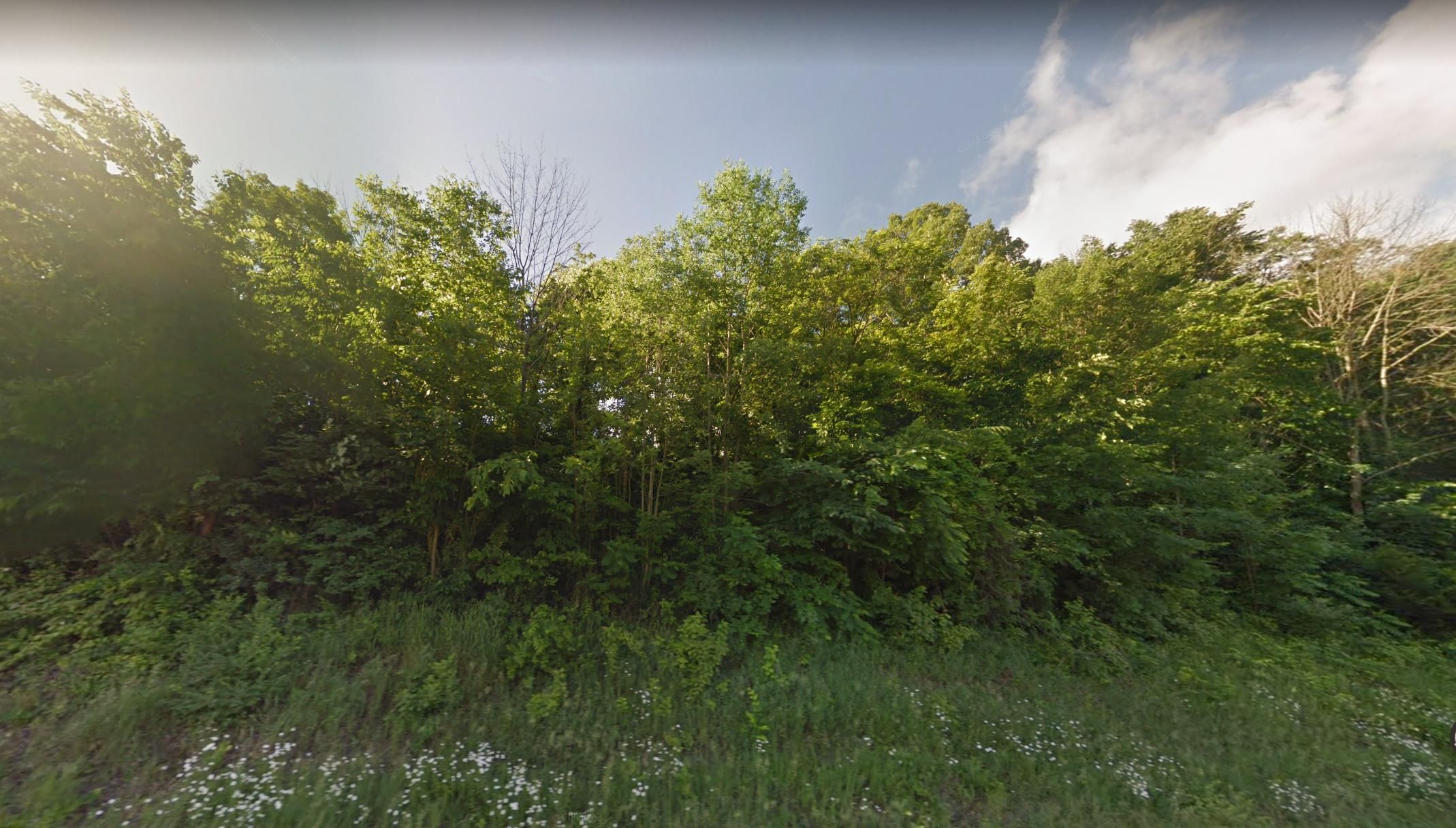 Romney, Hampshire County, WV Recreational Property, Hunting Property