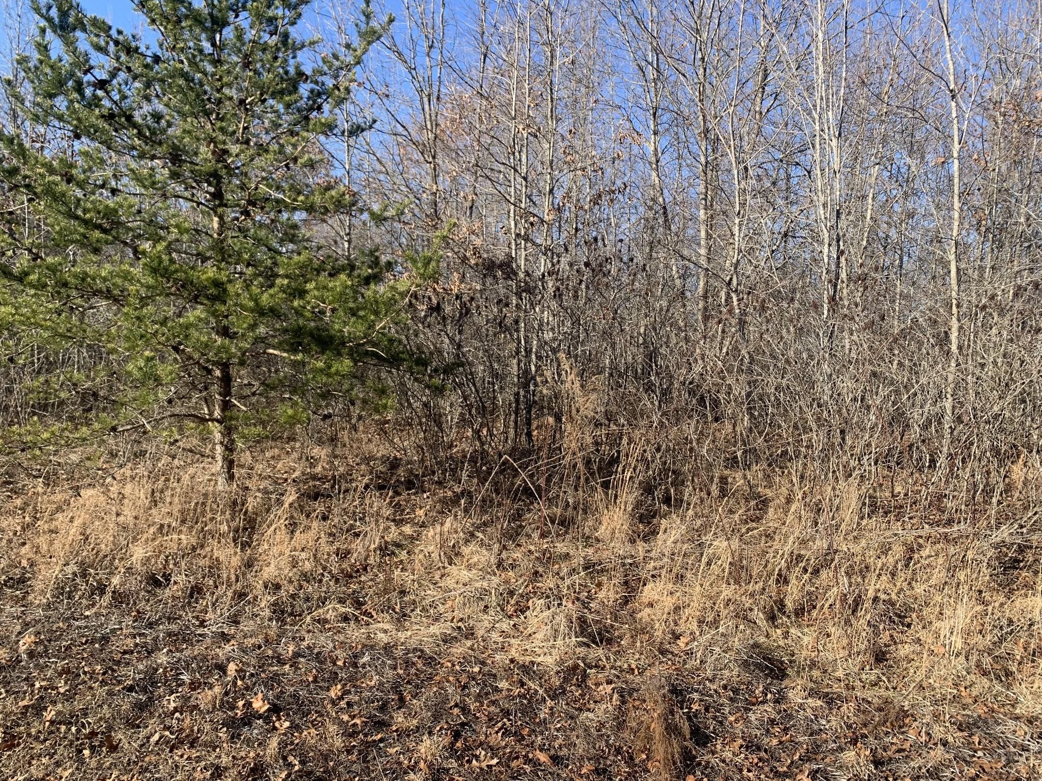 Spencer, Van Buren County, TN Recreational Property, Homesites for sale