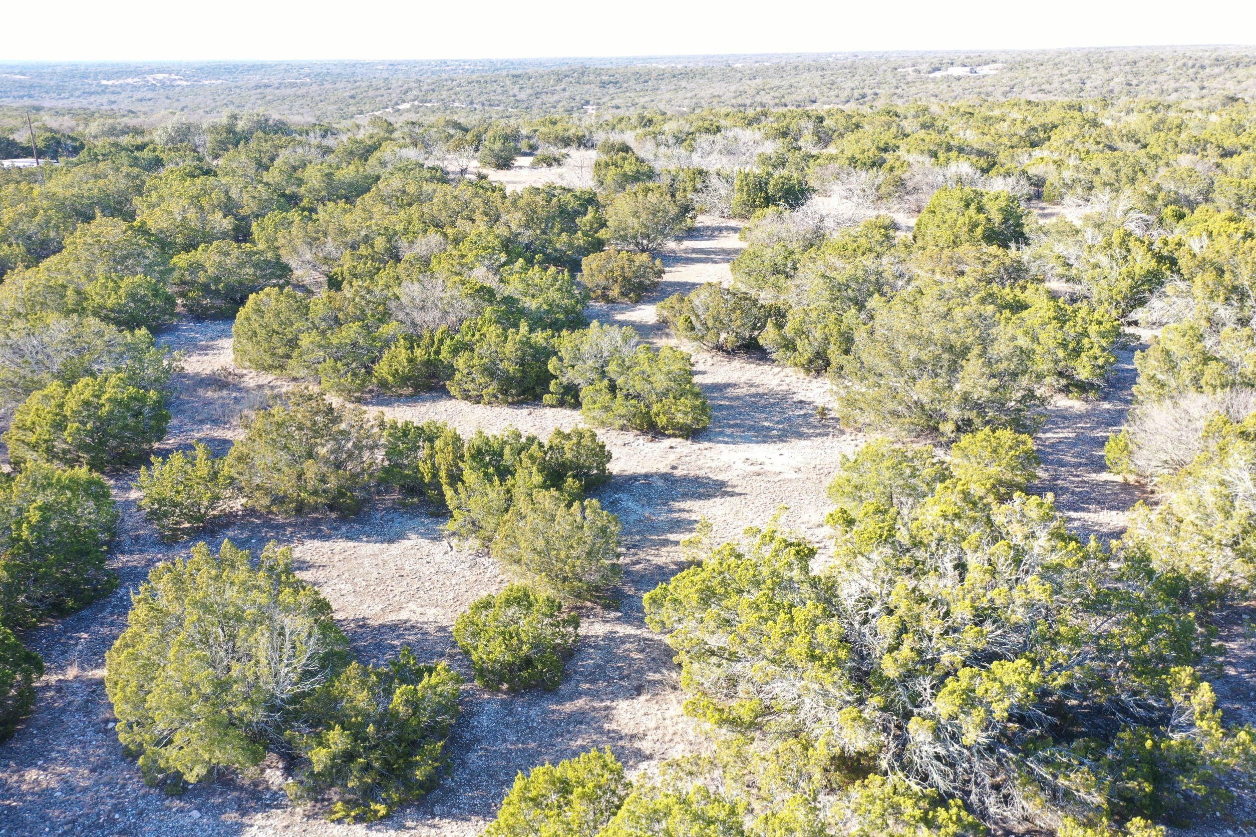 Rocksprings, Real County, TX Farms and Ranches, Recreational Property