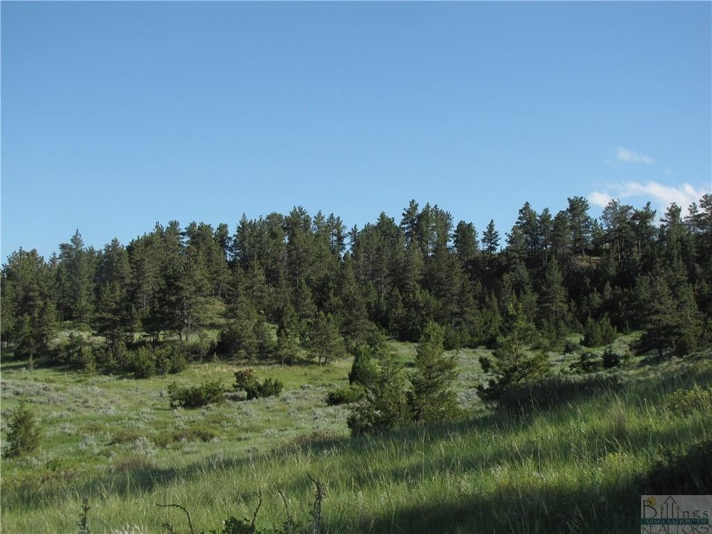 Miles City, Custer County, MT Undeveloped Land for sale Property ID