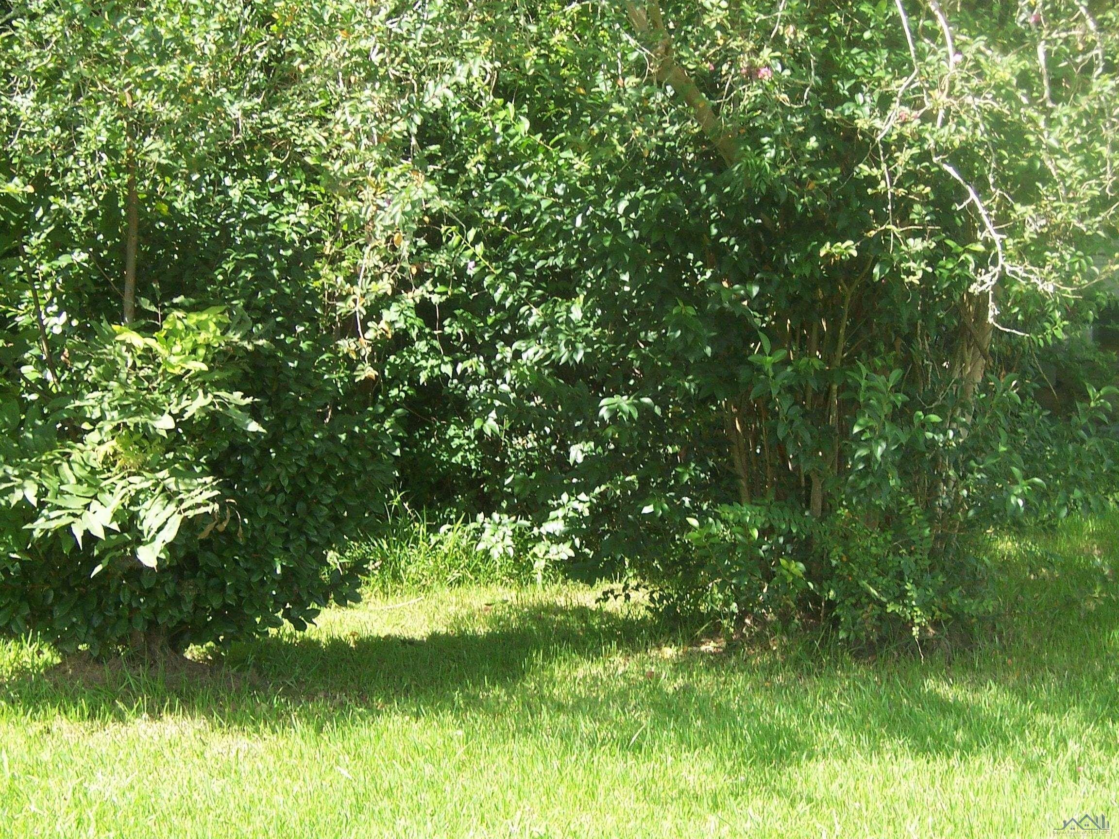 Raceland, Lafourche Parish, LA Undeveloped Land, Lakefront Property