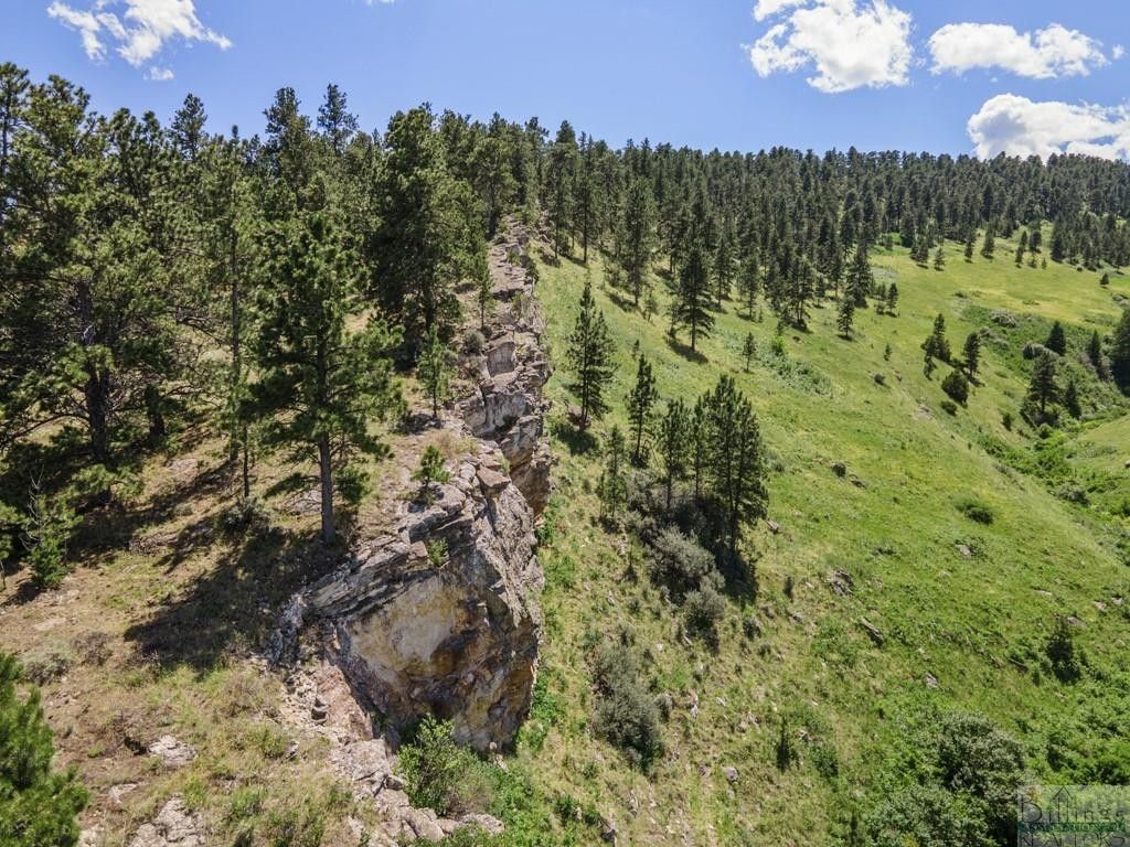 Fort Smith, Big Horn County, MT Undeveloped Land for sale Property ID