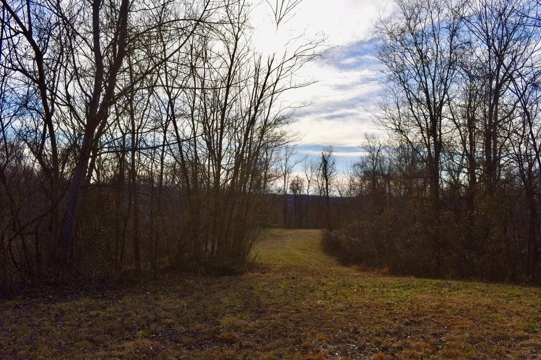 Cannelton, Perry County, IN Undeveloped Land for sale Property ID 409254919 LandWatch