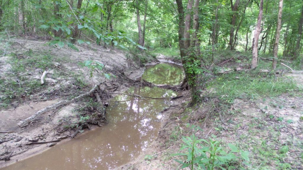 Tuskegee, Macon County, AL Recreational Property, Timberland Property