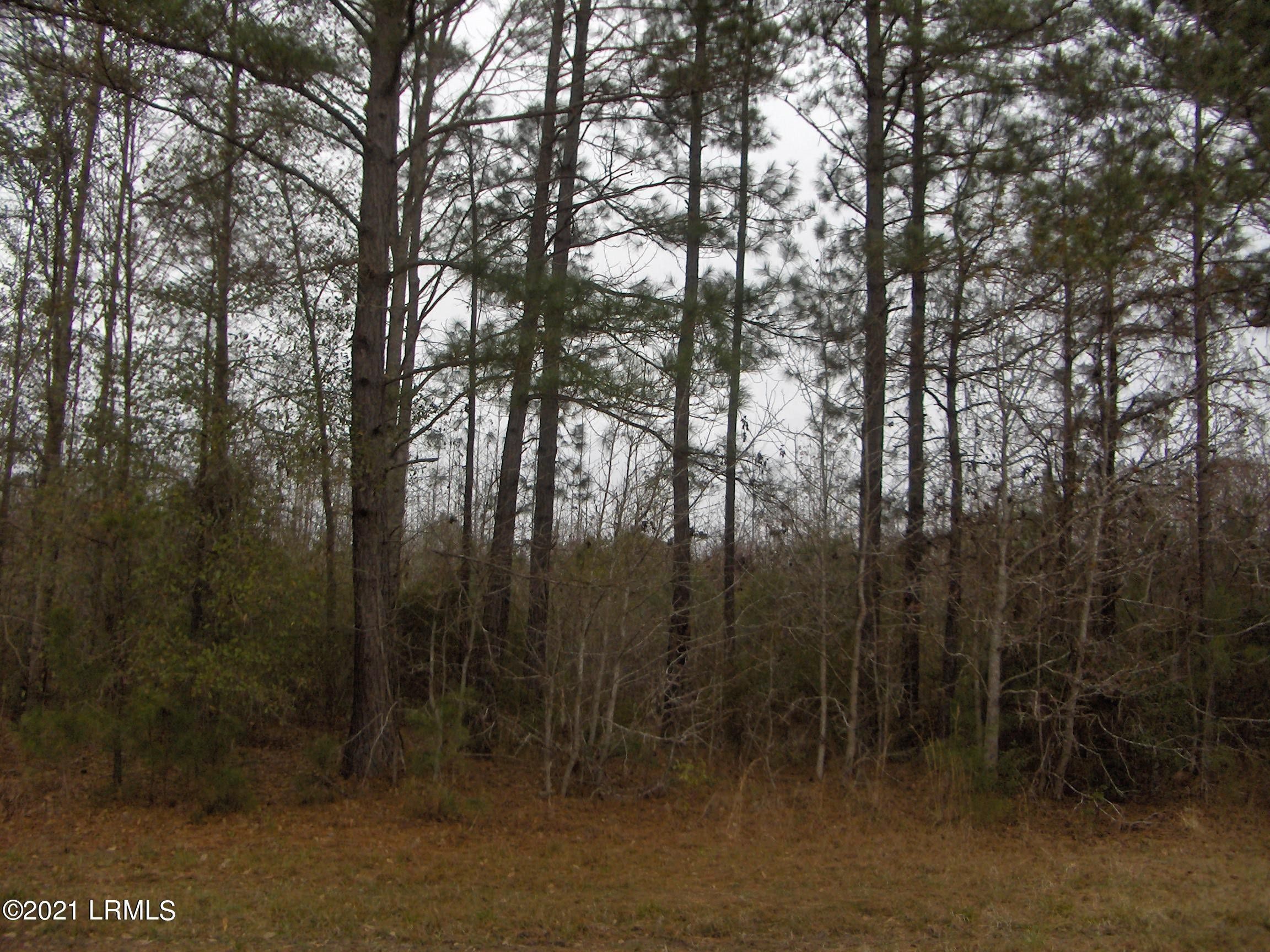 Hampton, Hampton County, SC Undeveloped Land, Homesites for sale