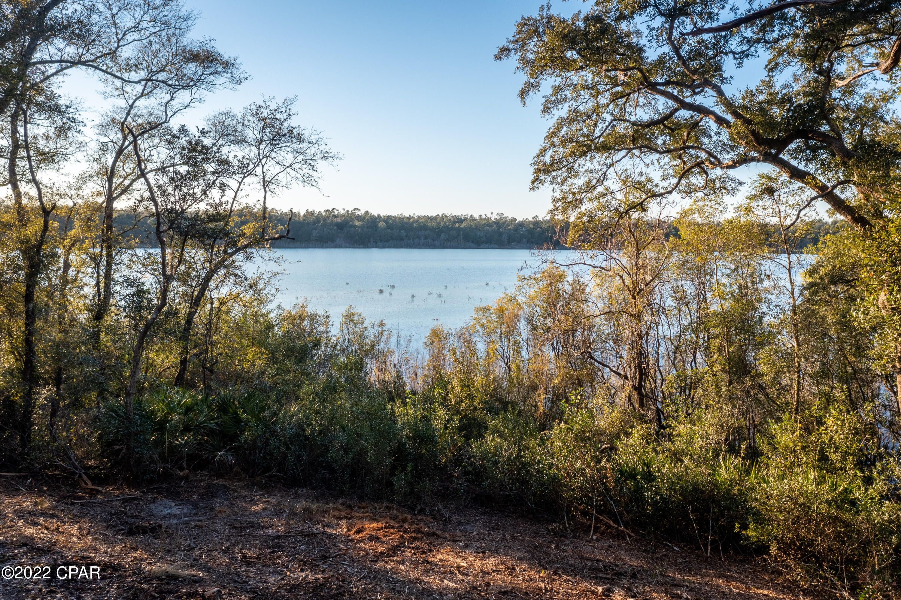 Chipley, Washington County, FL Undeveloped Land, Lakefront Property