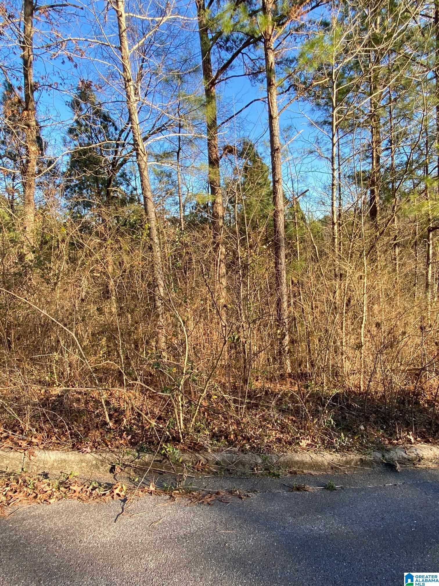 Springville, Saint Clair County, AL Undeveloped Land, Homesites for