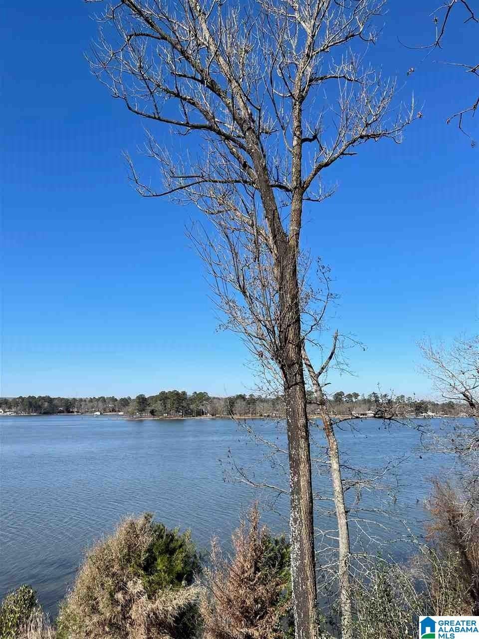 Sylacauga, Talladega County, AL Farms and Ranches, Lakefront Property