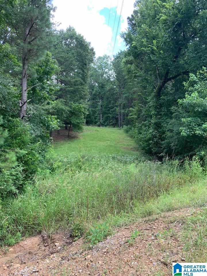 Alabaster, Shelby County, AL Undeveloped Land, Homesites for sale