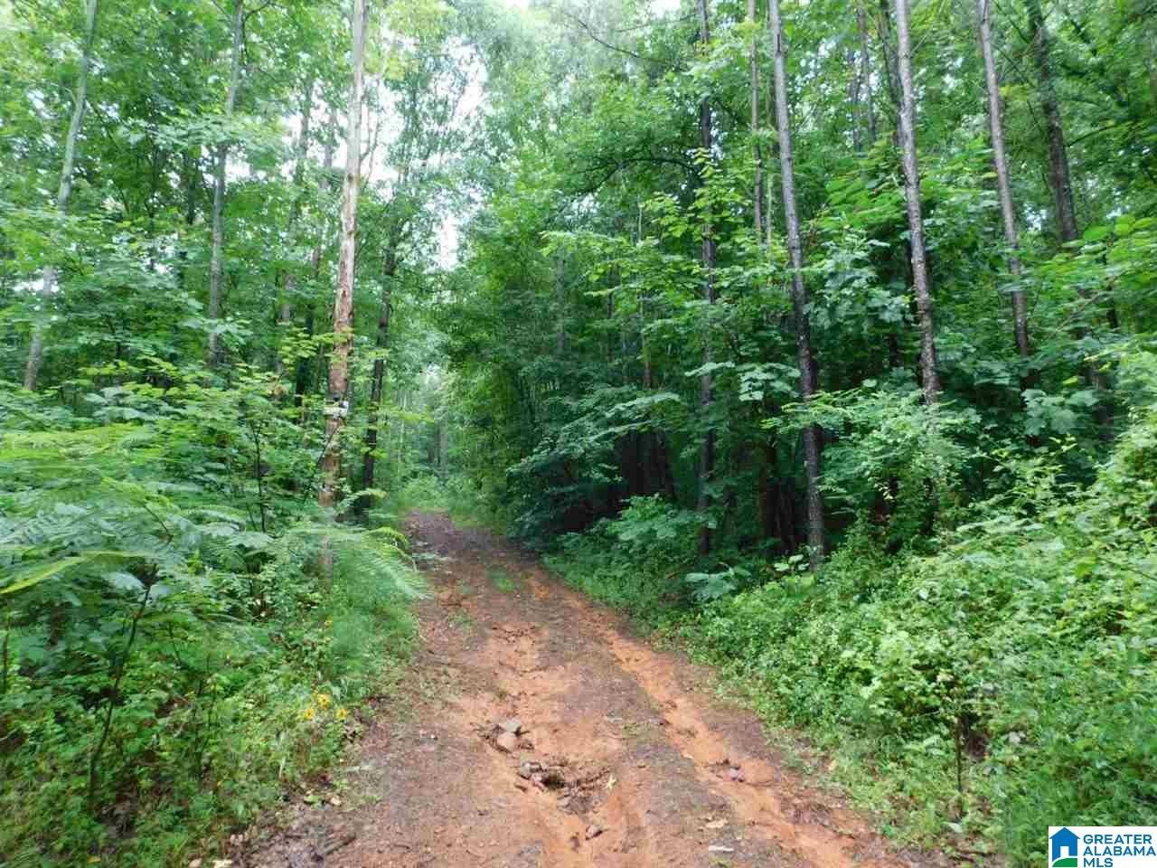 00 ROCK BRIDGE ROAD, Gallant, AL 35972 MLS 1291814 LandWatch