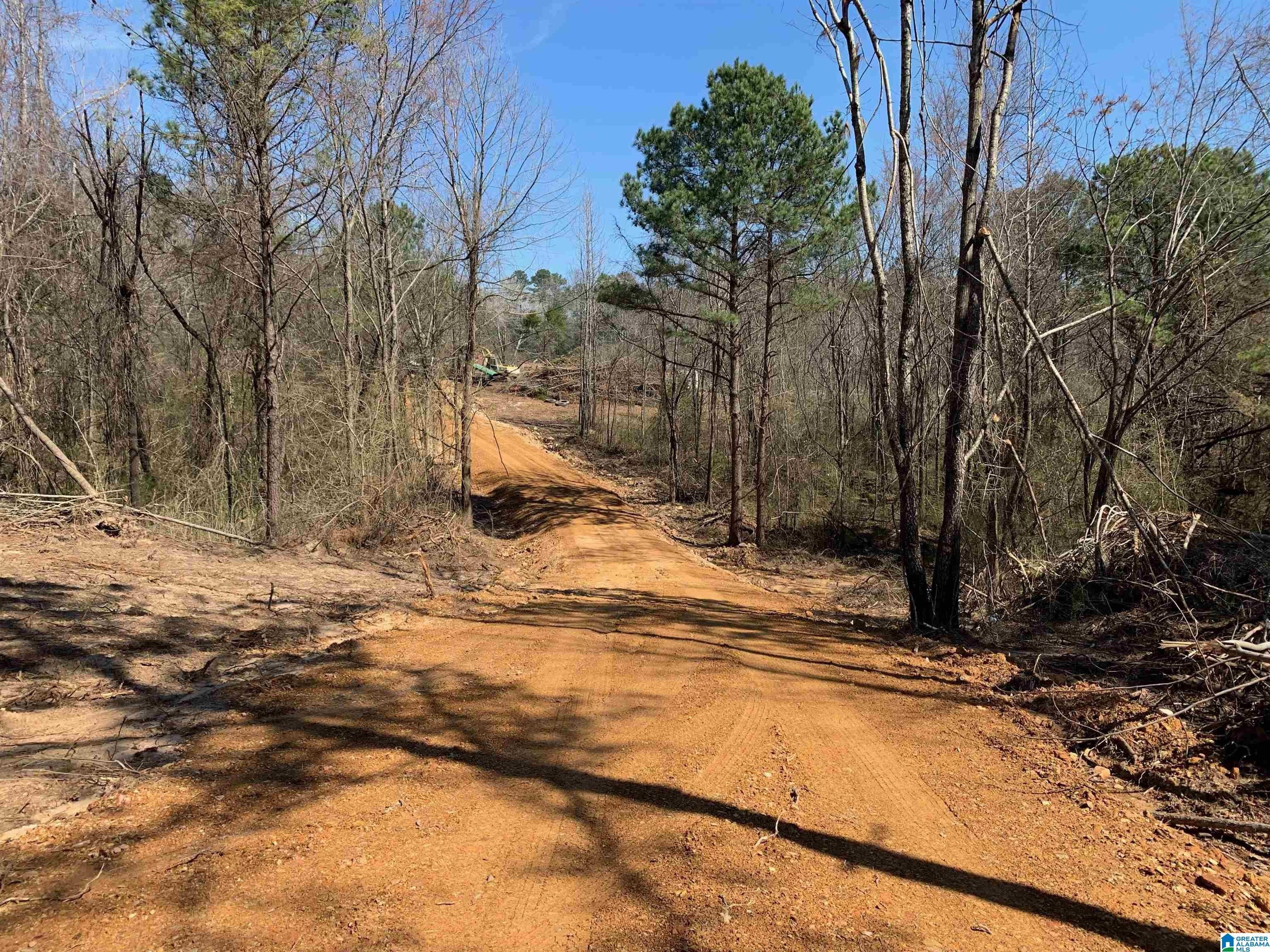 Hayden, Blount County, AL Undeveloped Land for sale Property ID