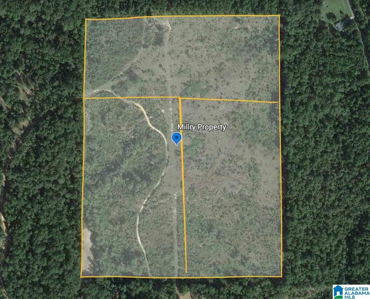 Silas, Choctaw County, AL Undeveloped Land for sale Property ID 337422999 LandWatch