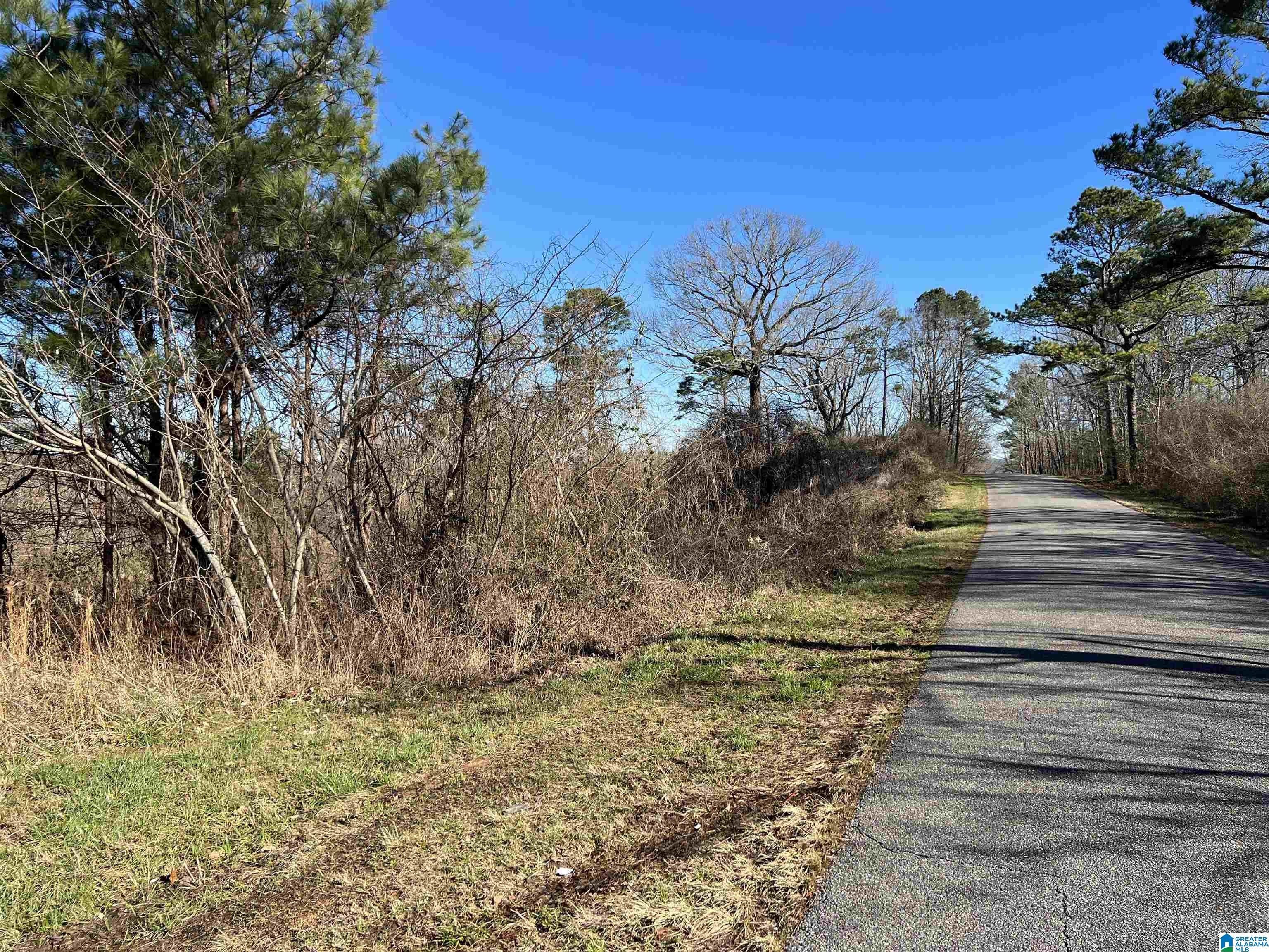 Pell City, Saint Clair County, AL Undeveloped Land for sale Property ID