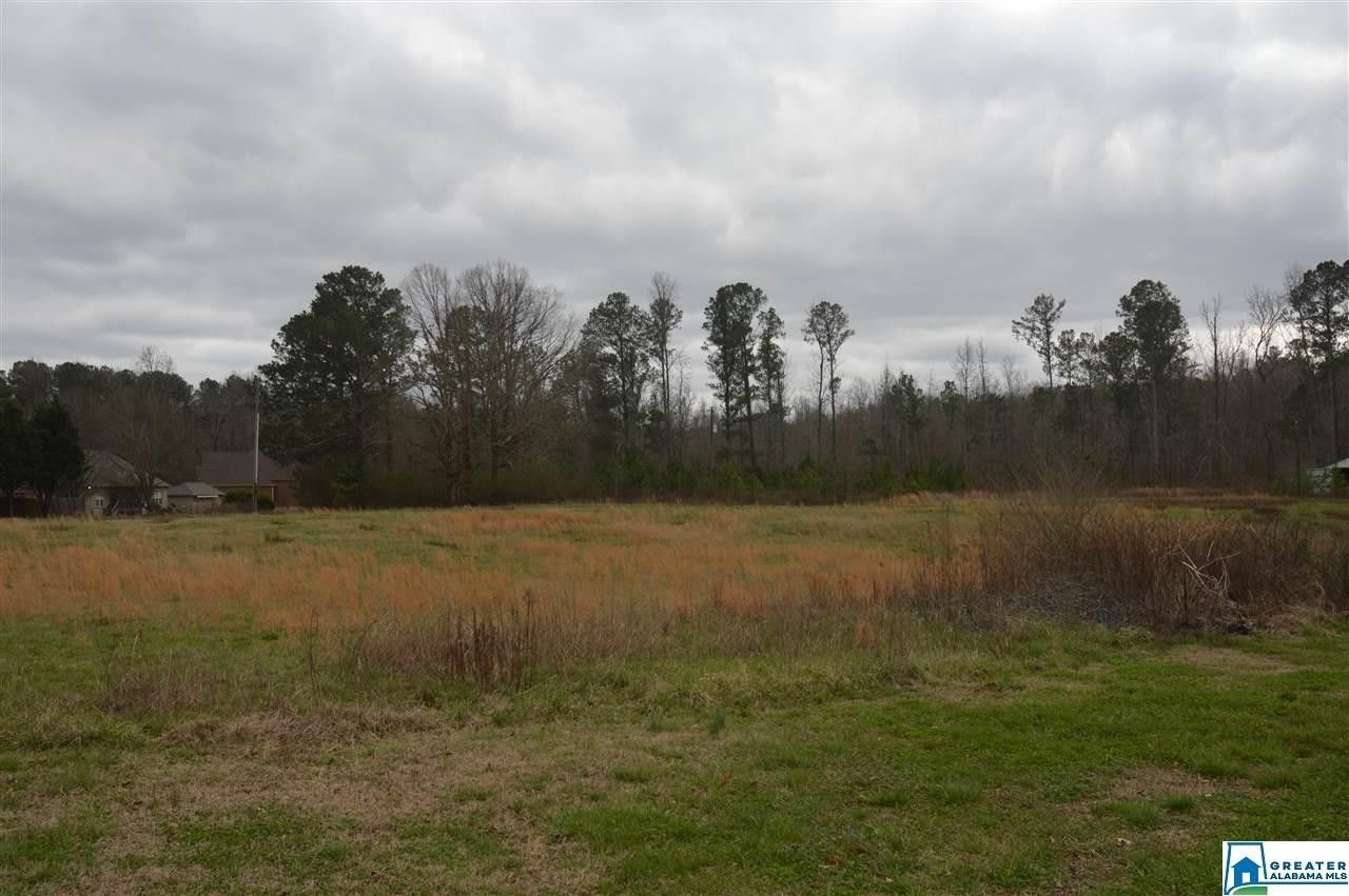 Odenville, Saint Clair County, AL Undeveloped Land for sale Property ID