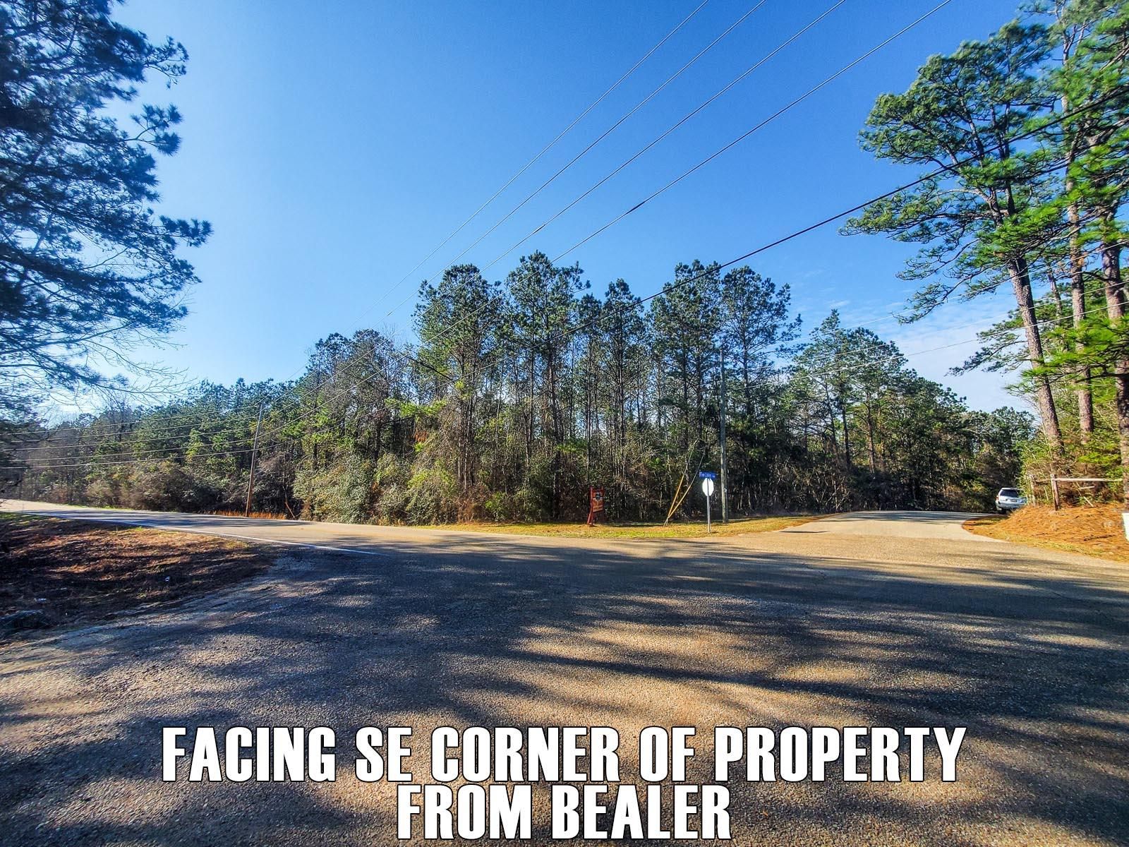 Bush, Saint Tammany Parish, LA Recreational Property, Undeveloped Land for sale Property ID