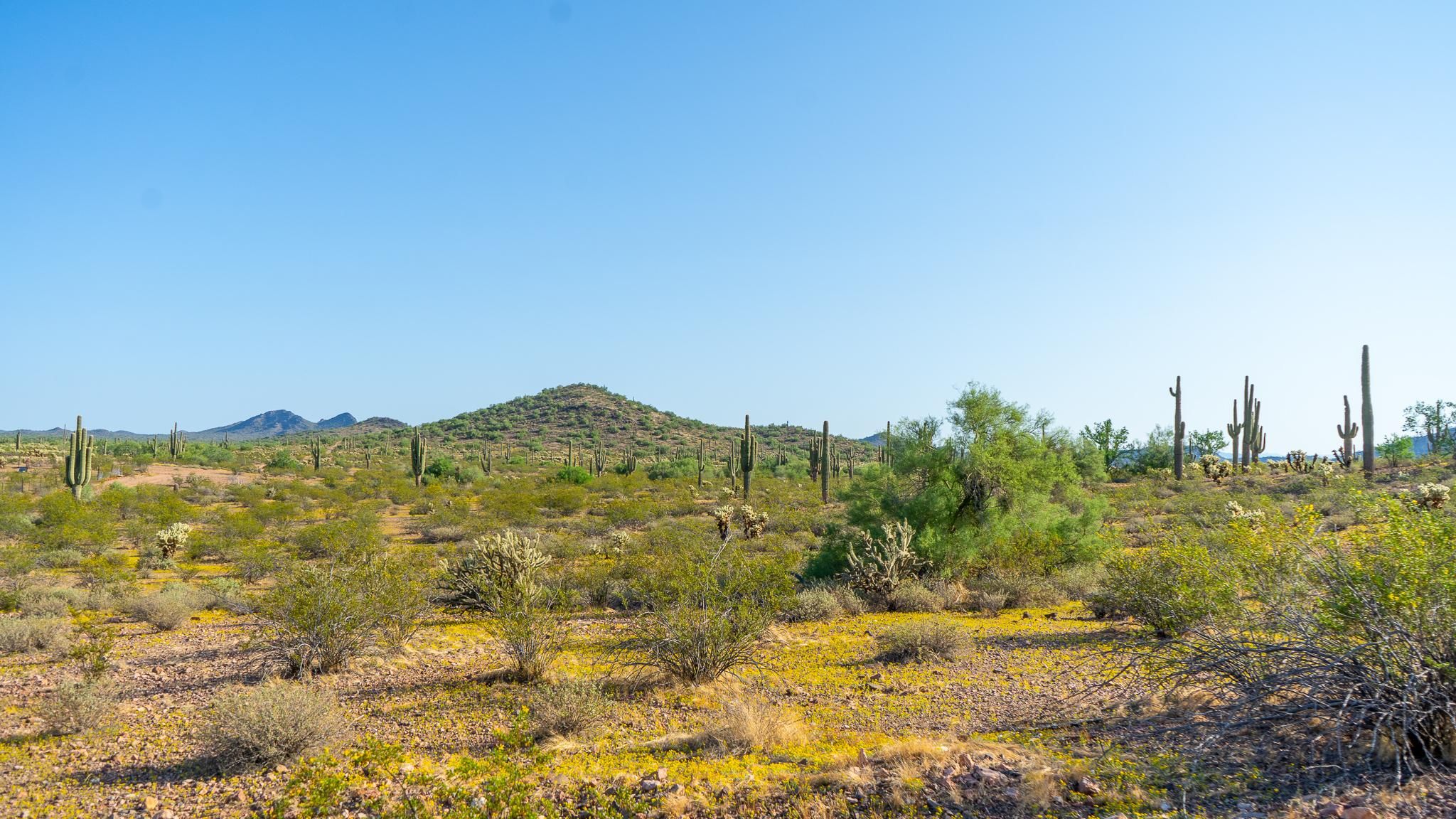 Wittmann, Maricopa County, AZ Recreational Property, Undeveloped Land