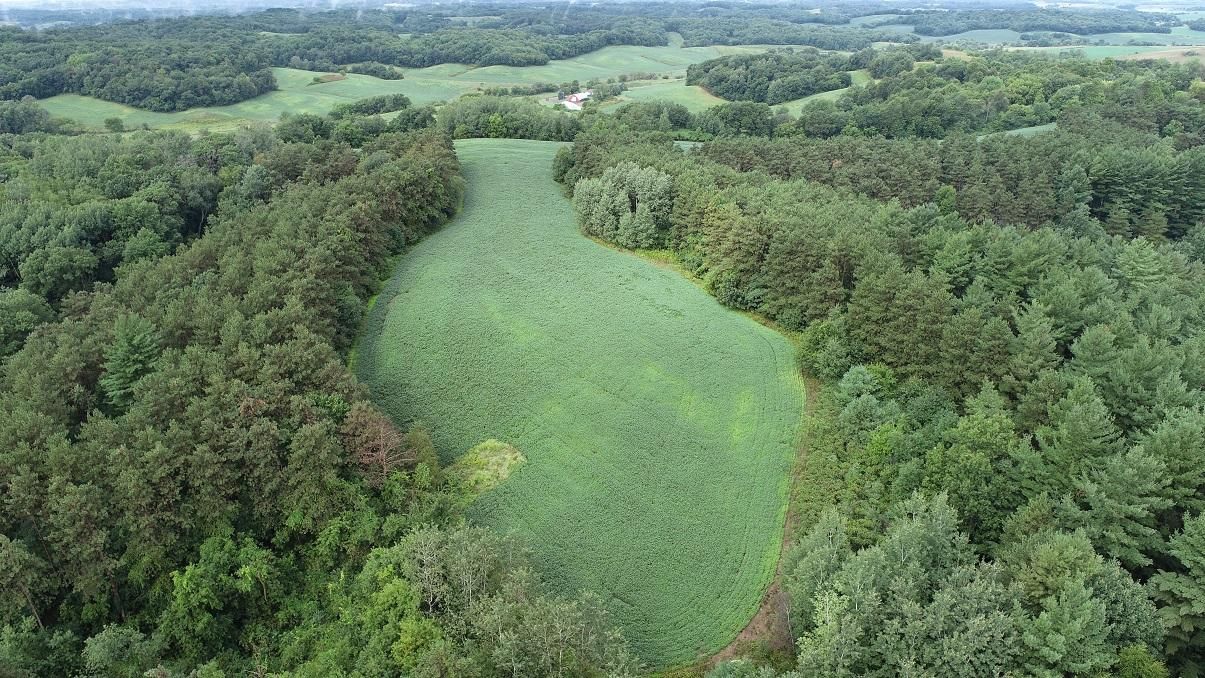 N46981 County Road D, Strum, WI 54770 MLS 1562103 LandWatch