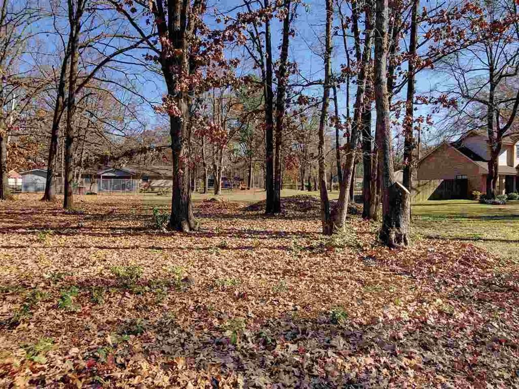 Hooks, Bowie County, TX Undeveloped Land, Homesites for sale Property