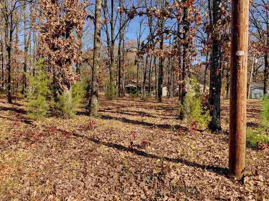 Hooks, Bowie County, TX Undeveloped Land, Homesites for sale Property