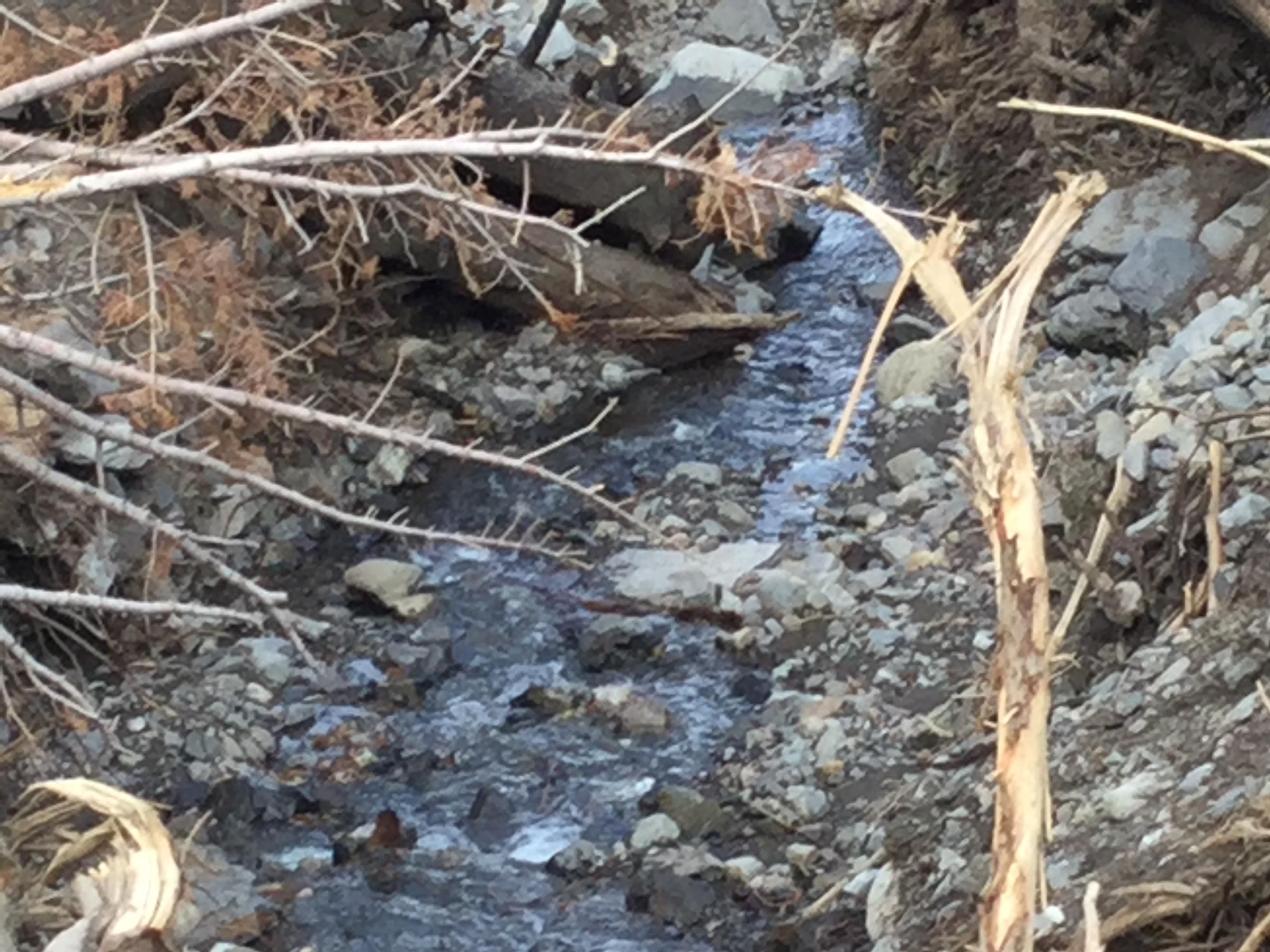 Golden Gate Road, Coleville, CA 96107 MLS Exclusive LandWatch