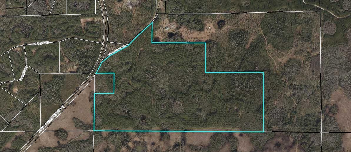 Lamont, Taylor County, FL Recreational Property, Timberland Property