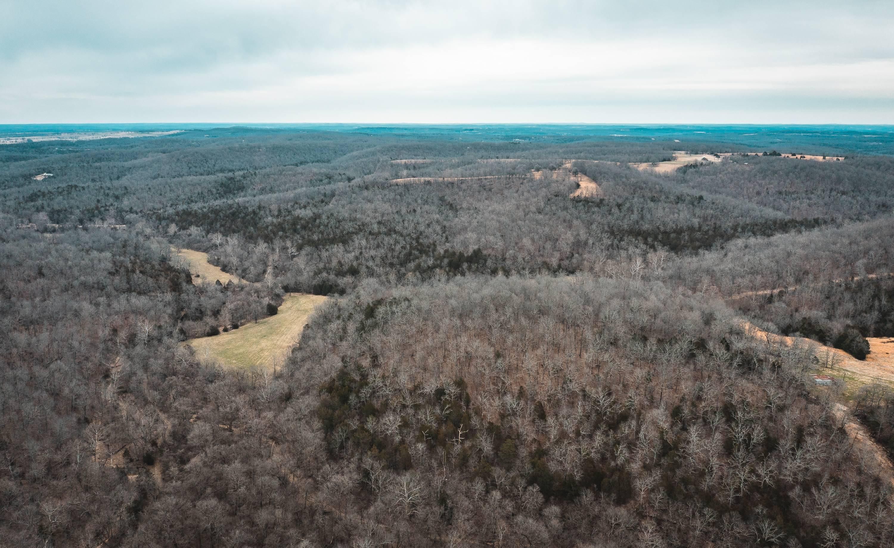 Mountain Home, Baxter County, AR Farms and Ranches, Hunting Property