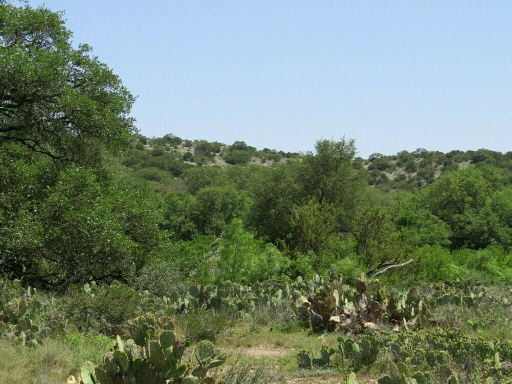 Rocksprings, Edwards County, TX Farms and Ranches, Recreational