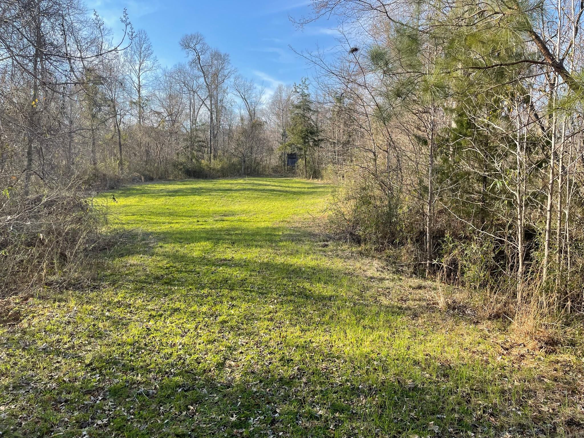 Natchez, Jefferson County, MS Recreational Property, Undeveloped Land, Hunting Property for sale