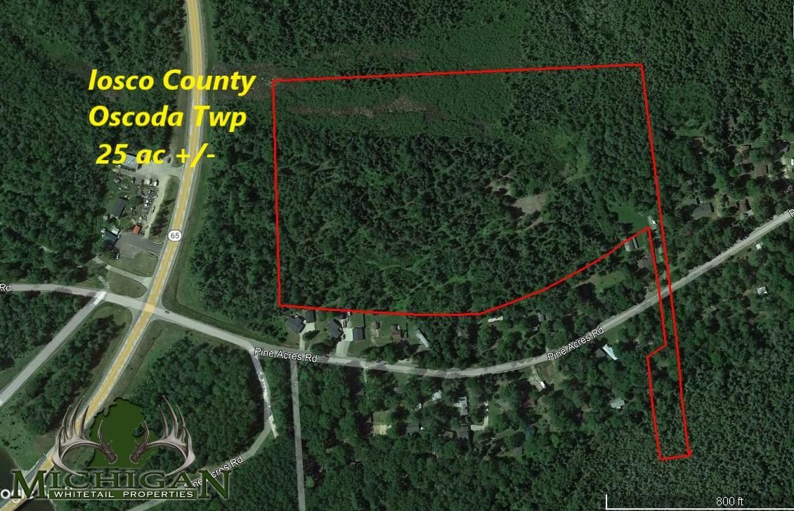 Oscoda, Iosco County, MI Recreational Property, Timberland Property