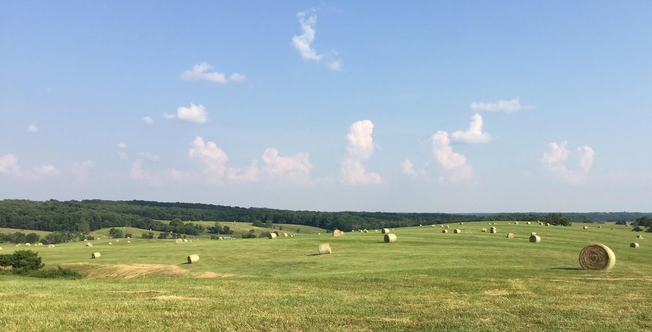 Patton, Bollinger County, MO Farms and Ranches, Hunting Property for