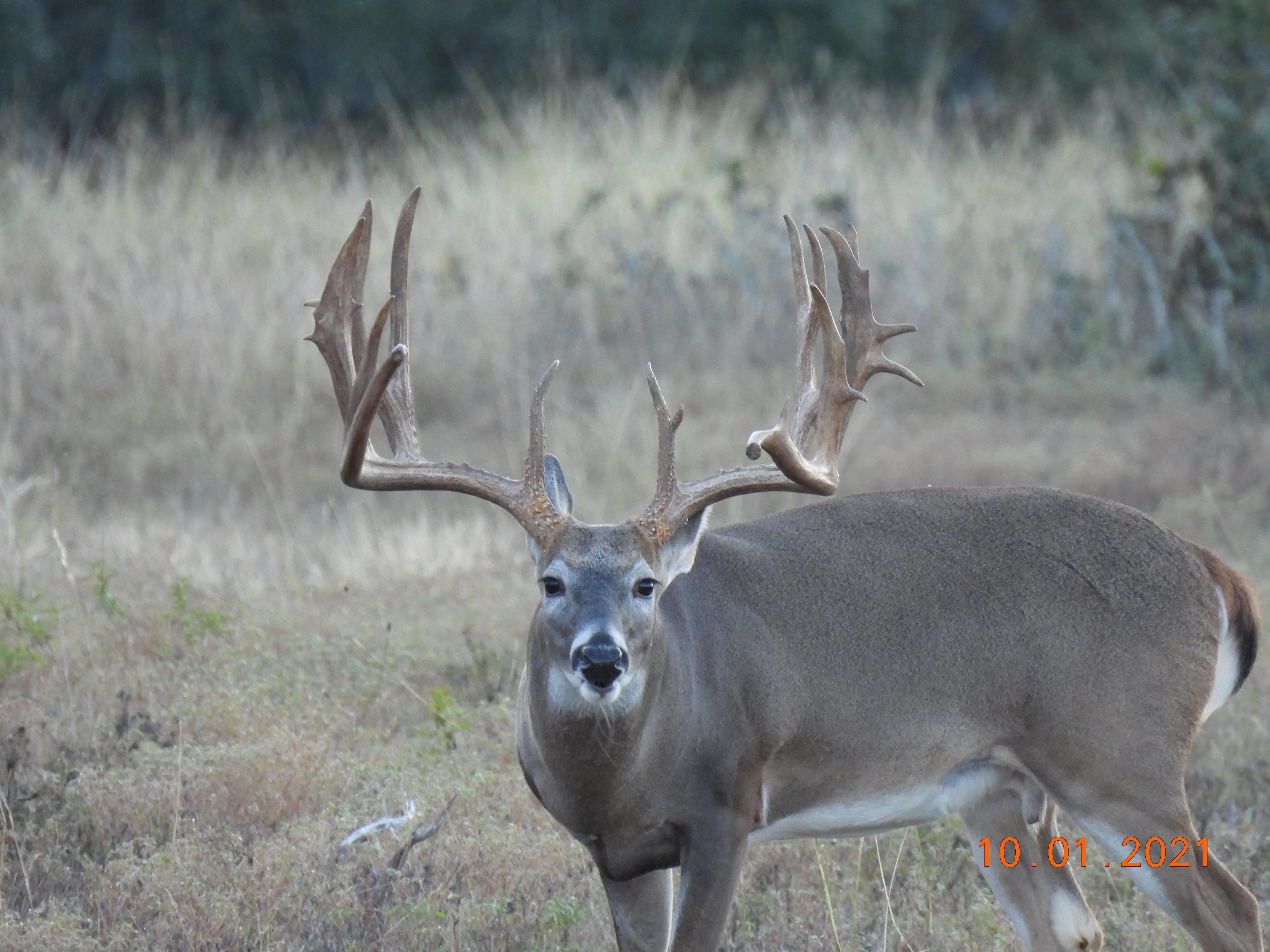 Mountain Home, Kerr County, TX Farms and Ranches, Recreational Property