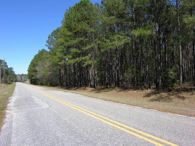 Sardis, Burke County, GA Recreational Property for sale Property ID