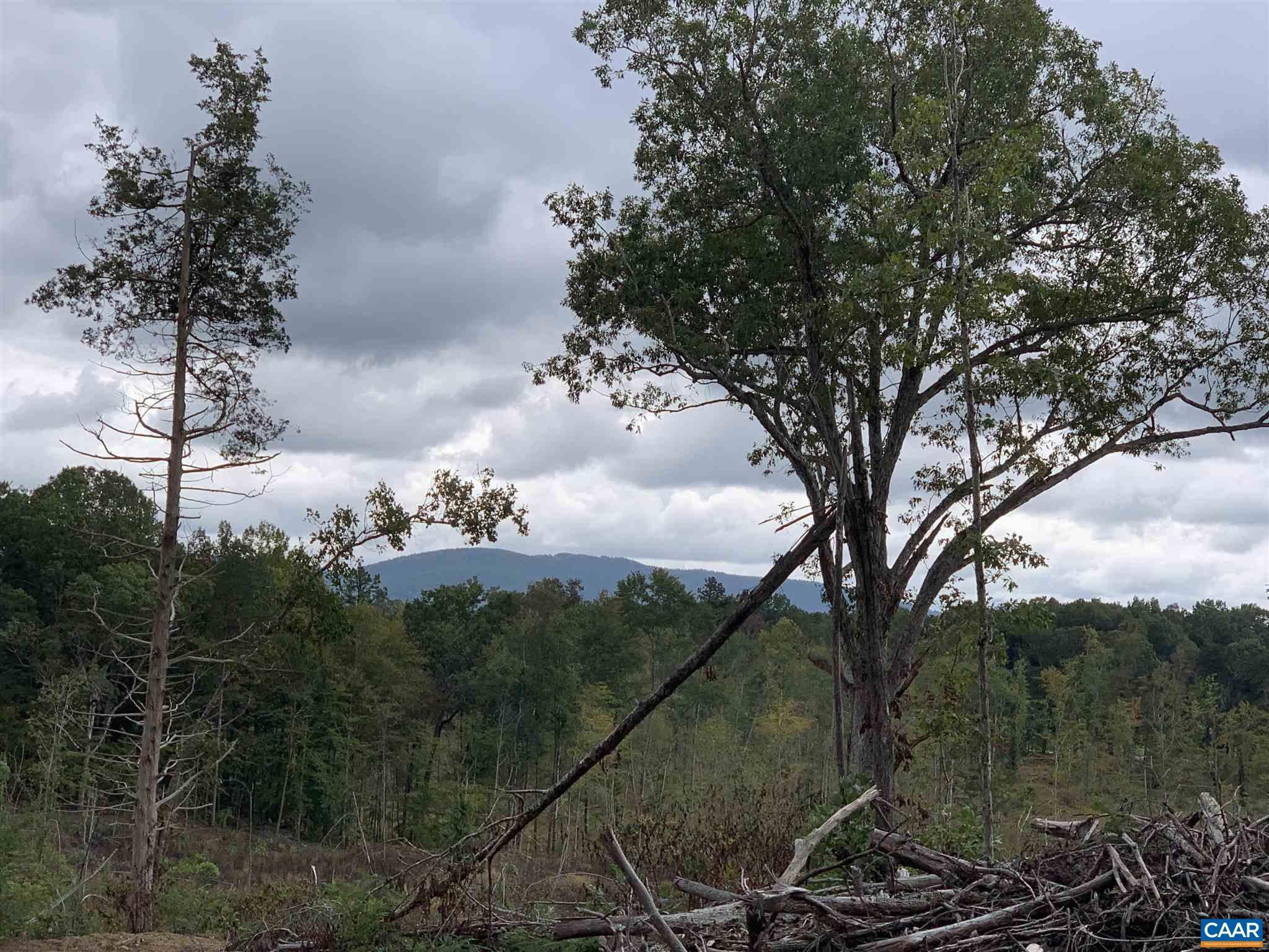 Barboursville, Orange County, VA Undeveloped Land for sale Property ID