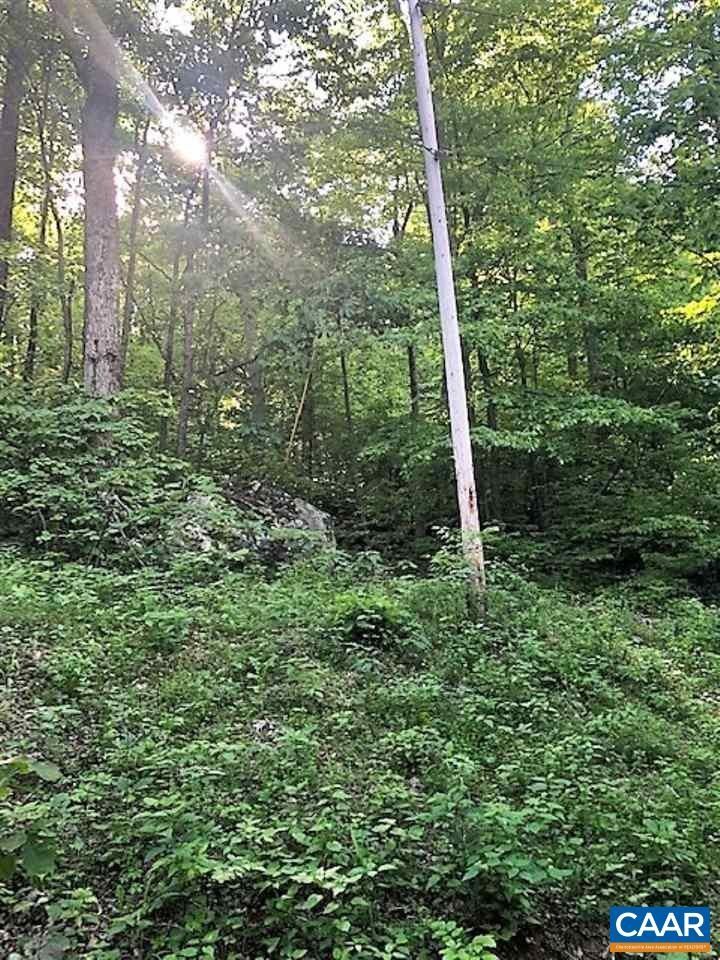 Stanardsville, Greene County, VA Farms and Ranches, Homesites for sale