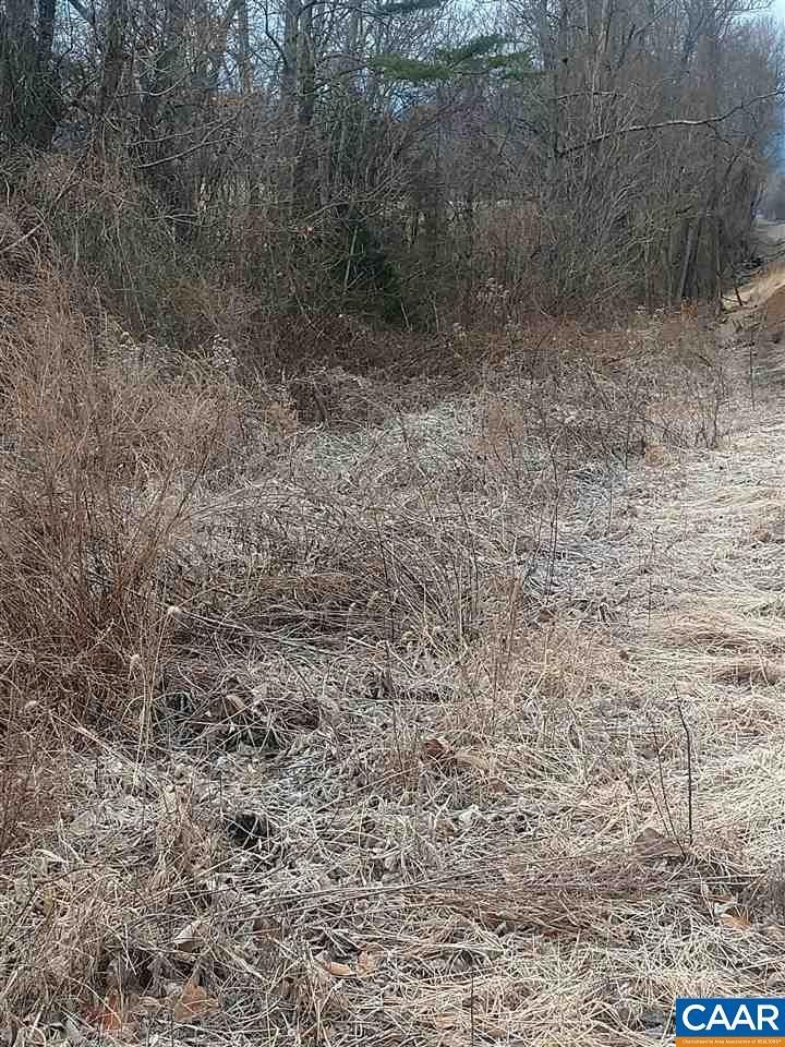 North Garden, Albemarle County, VA Farms and Ranches for sale Property