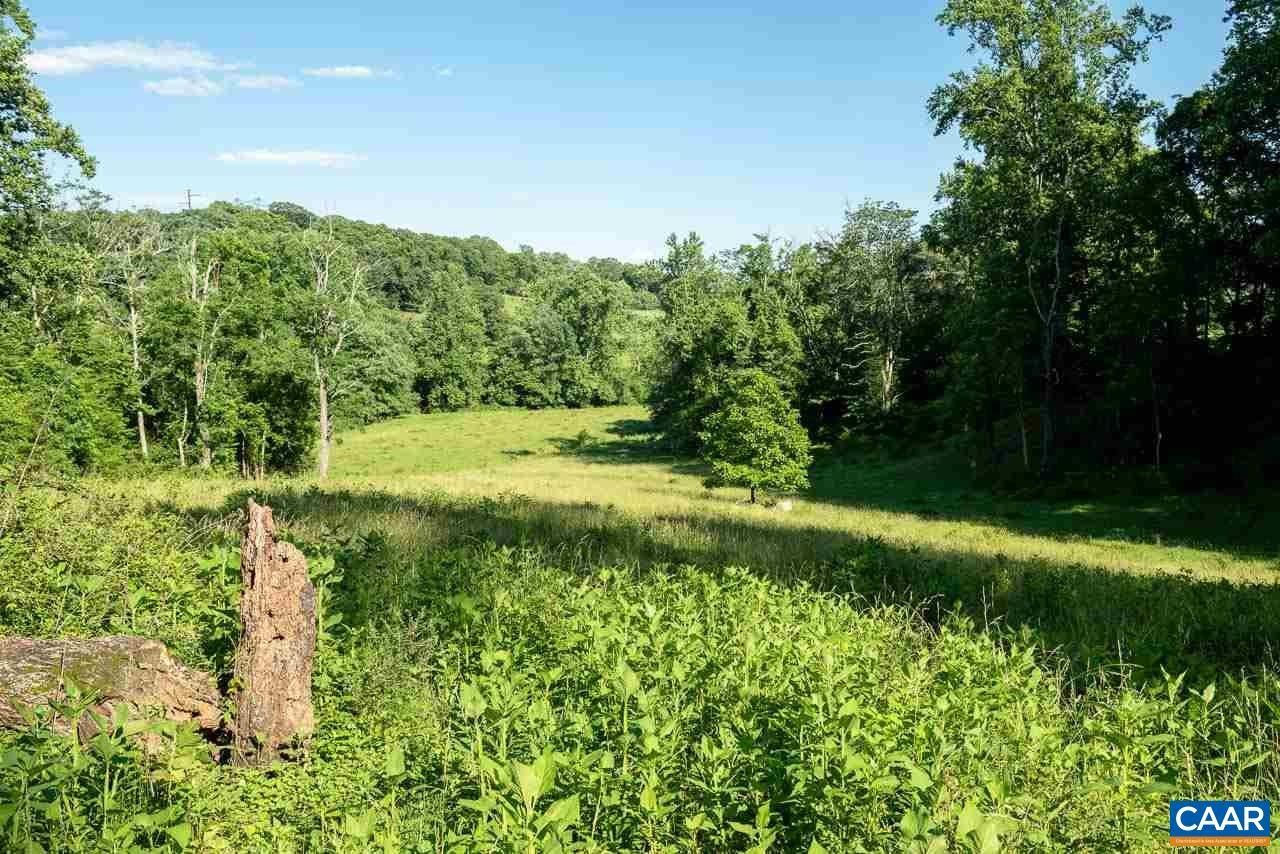North Garden, Albemarle County, VA Undeveloped Land for sale Property
