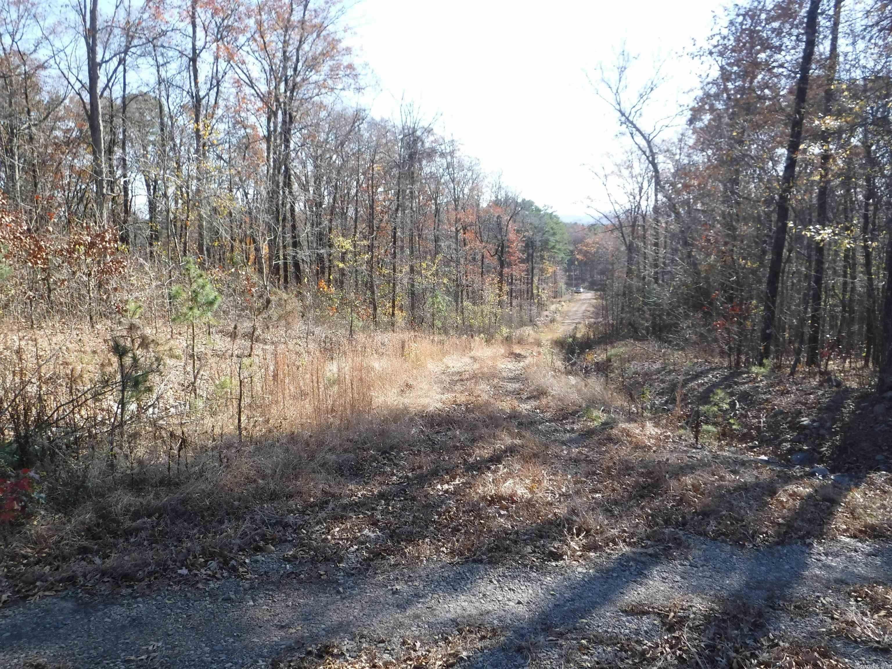 Scotland, Van Buren County, AR Undeveloped Land for sale Property ID
