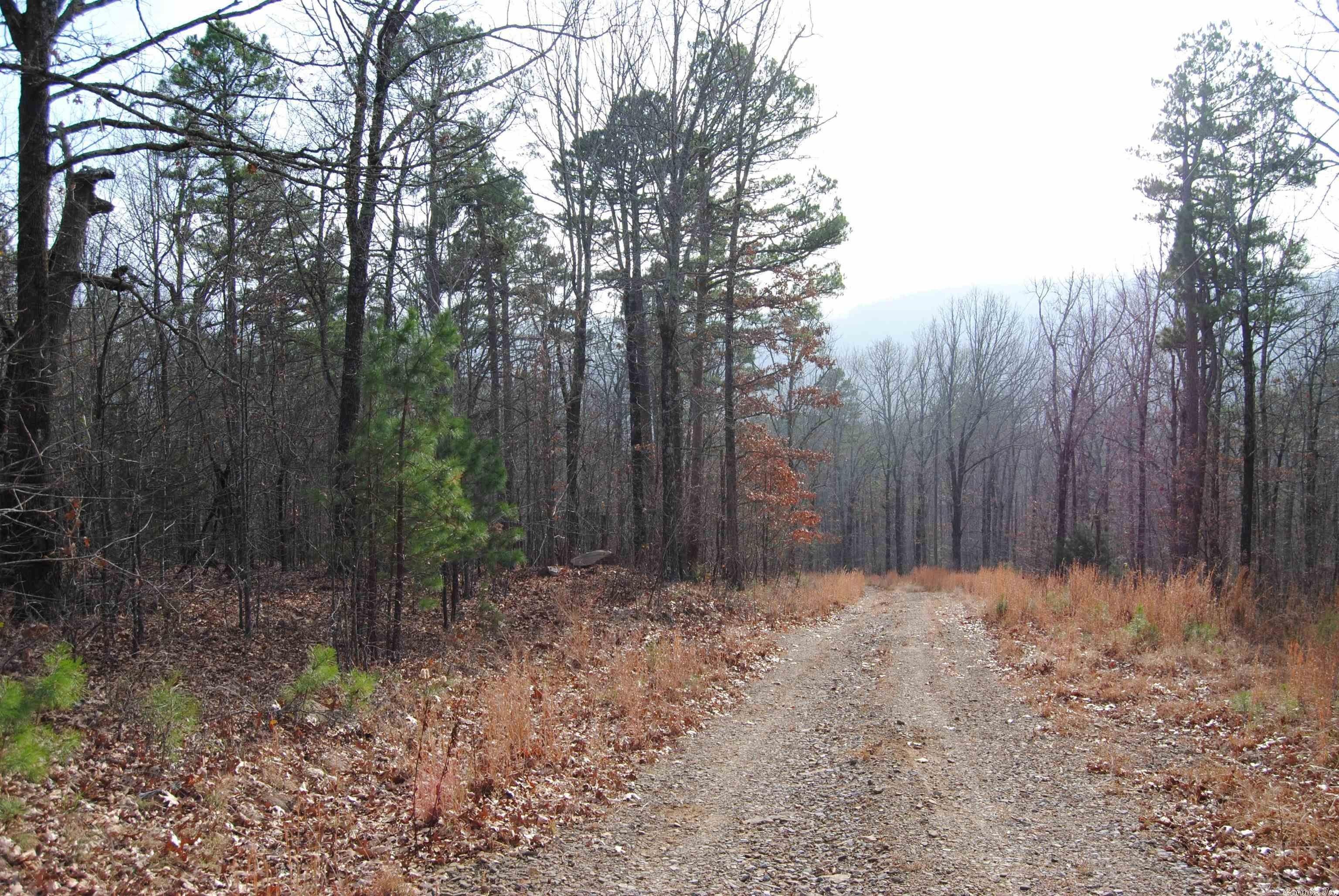 Leslie, Searcy County, AR Undeveloped Land for sale Property ID