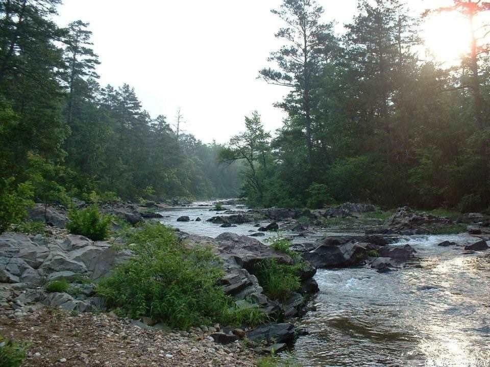 Vandervoort, Polk County, AR Undeveloped Land for sale Property ID