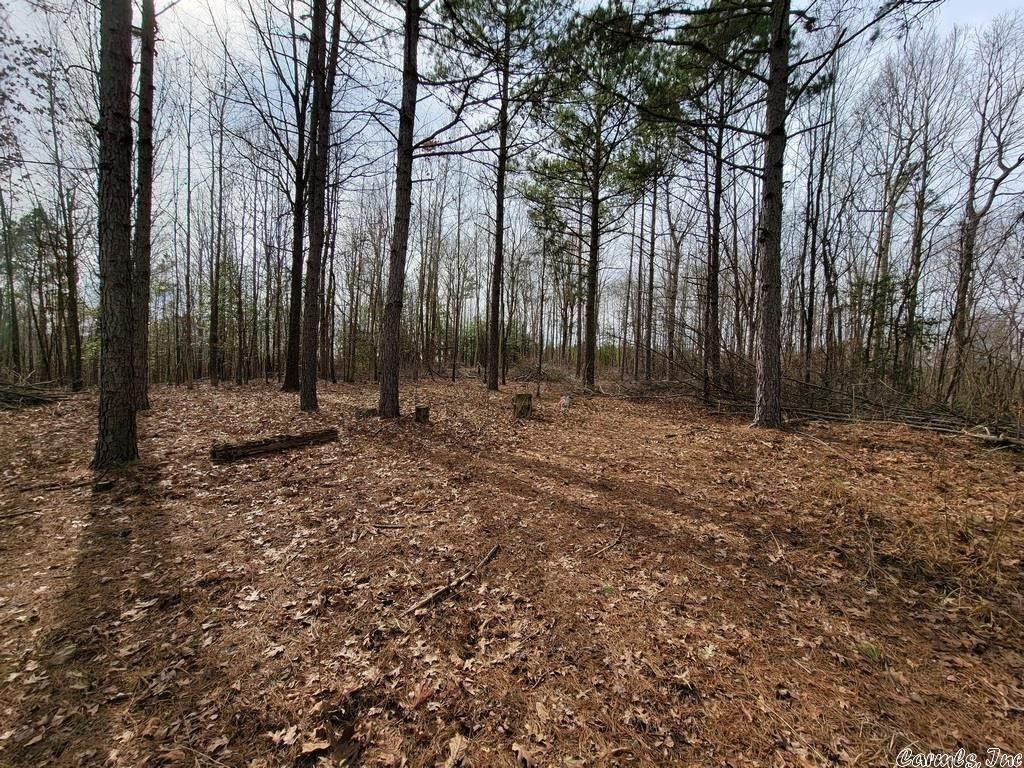 Grannis, Polk County, AR Undeveloped Land for sale Property ID