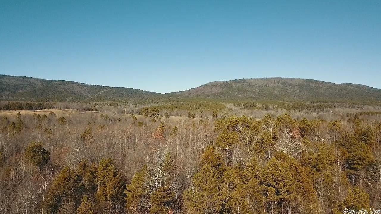 Oden, Montgomery County, AR Undeveloped Land for sale Property ID