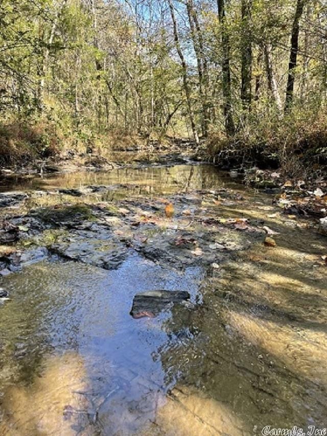 Norman, Montgomery County, AR Undeveloped Land, Lakefront Property