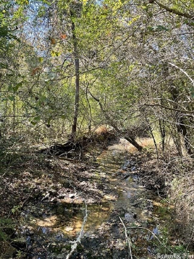 Norman, Montgomery County, AR Undeveloped Land, Lakefront Property