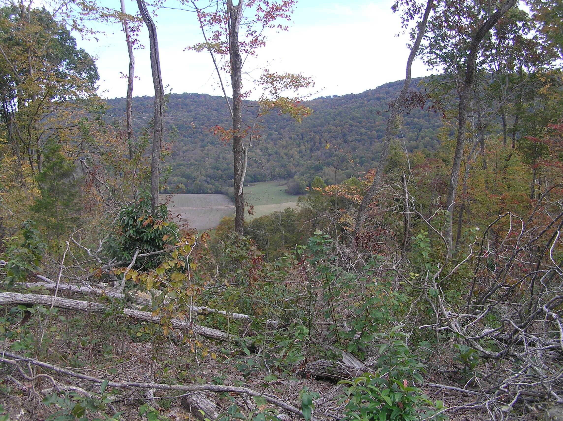 Beersheba Springs, Grundy County, TN Undeveloped Land for sale Property