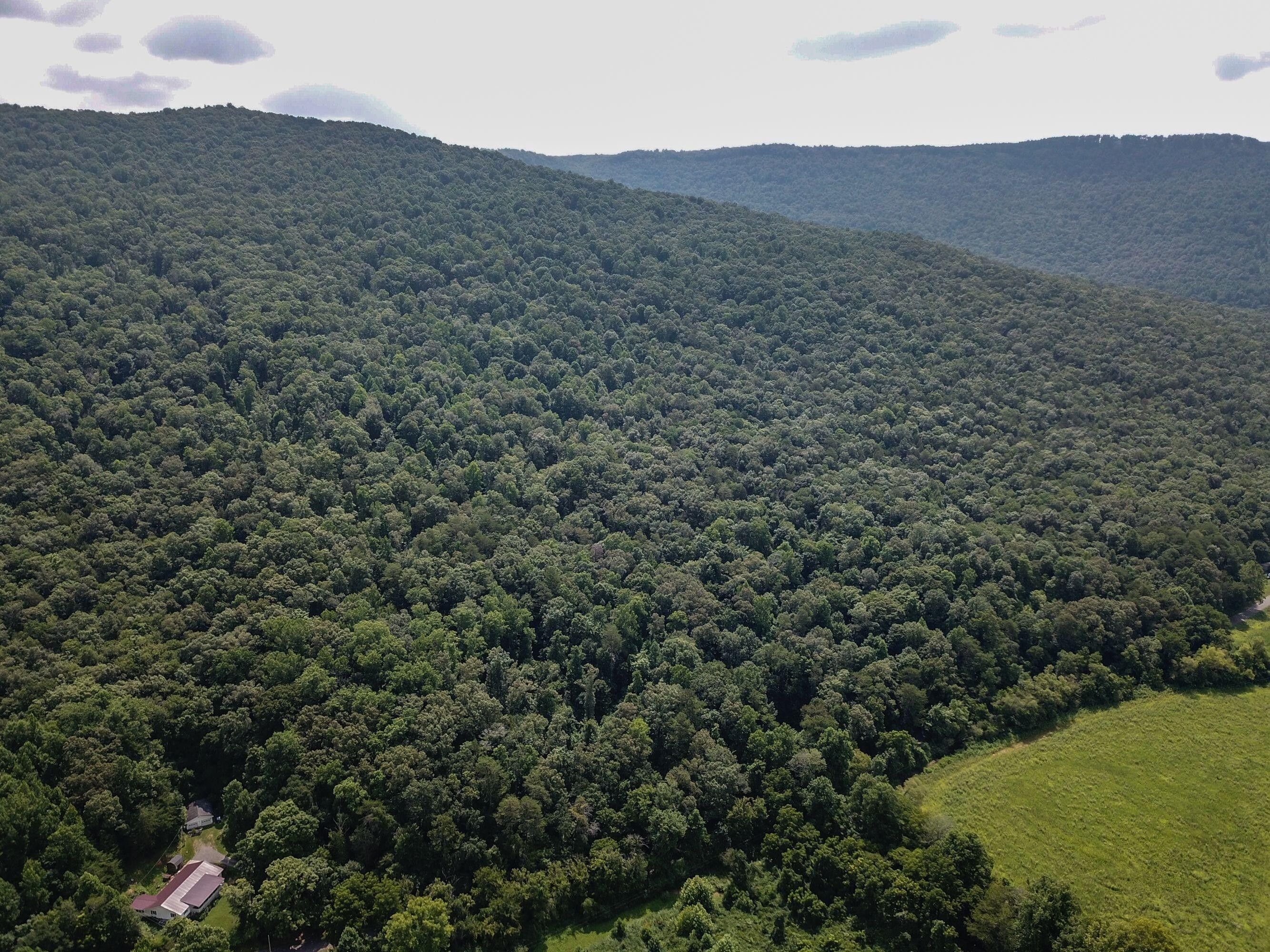 South Pittsburg, Marion County, TN Farms and Ranches for sale Property