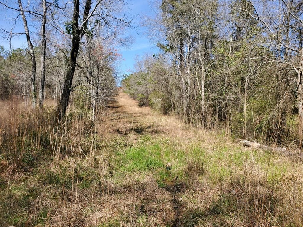 Phenix City, Russell County, AL Undeveloped Land for sale Property ID