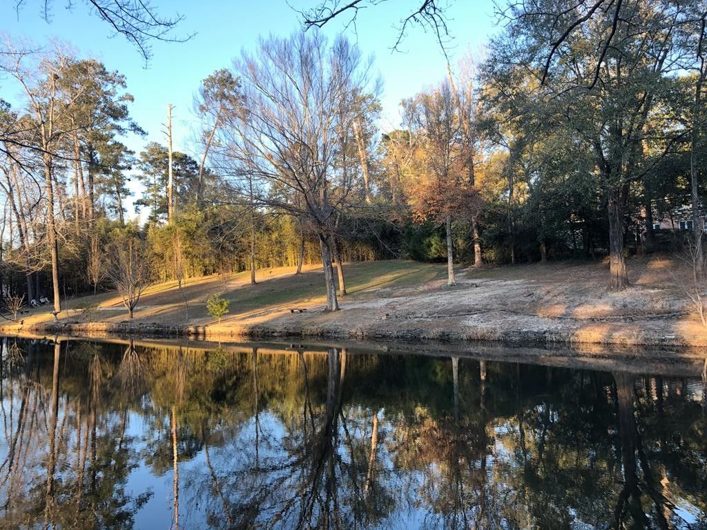 Columbus, Muscogee County, GA Undeveloped Land, Lakefront Property
