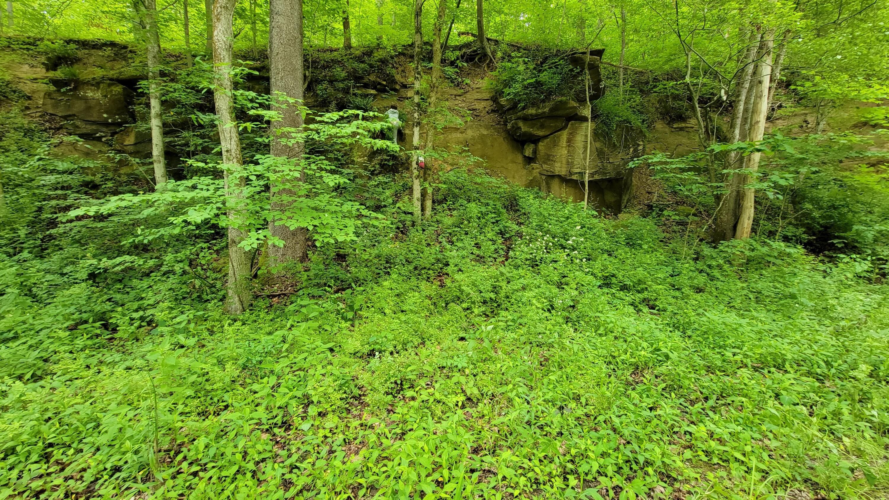 Glouster, Athens County, OH Undeveloped Land for sale Property ID 412901414 LandWatch